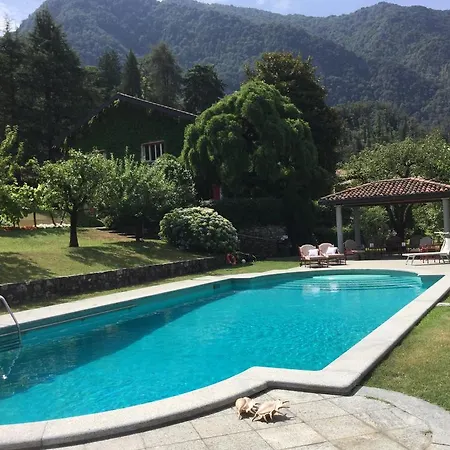 Hintown Ortensia * Stresa